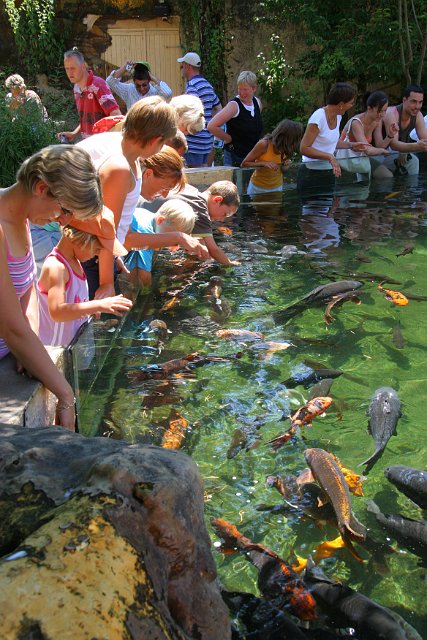 0065 Aquarium Le Busque.JPG