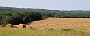 0014 camping Les Sorias Vossemagne