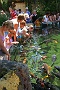 0065 Aquarium Le Busque