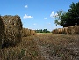 0186 camping Les Ripettes - Pont de veaux