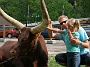 0246 camping