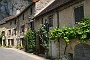 0261 Baume les Messieurs