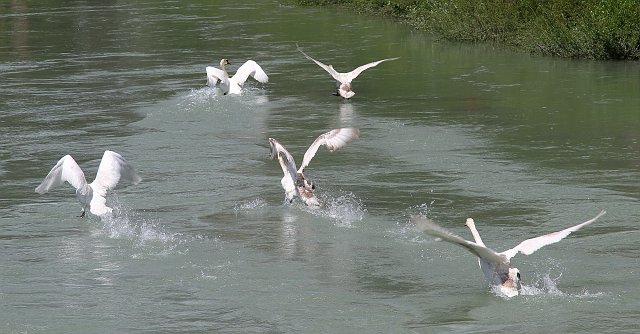0011 2013 vakantie Kroatie.jpg