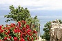 0045 2013 vakantie Kroatie