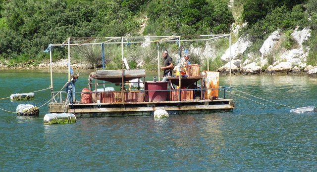 0166 2013 vakantie Kroatie.JPG