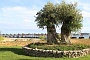 0137 2013 vakantie Kroatie