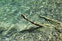0394 2013 vakantie Kroatie