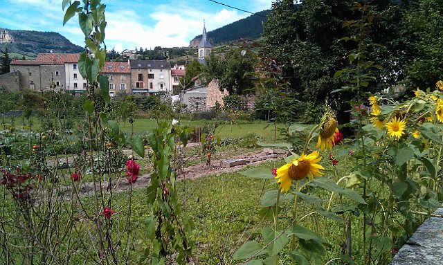 00024 camping les peupliers - Tarn.jpg