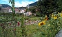 00024 camping les peupliers - Tarn