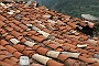 00123 Castellr de N Hug