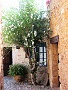 00330 Peratallada