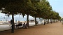 00352 Palamos