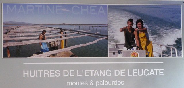 00392 Leucate - huitres.jpg