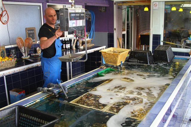 00393 Leucate - huitres.JPG