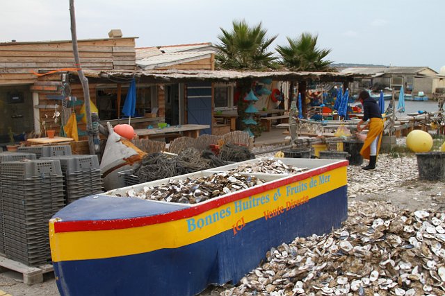00394 Leucate - huitres.JPG