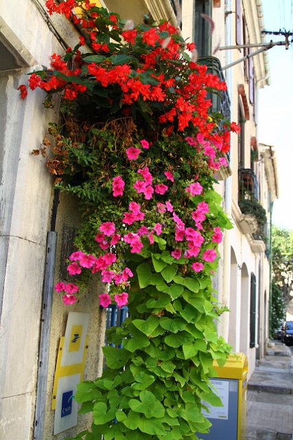 00417 Fitou.jpg