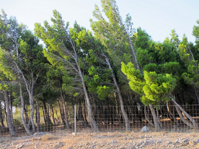 00429 Leucate - kust klippen.jpg