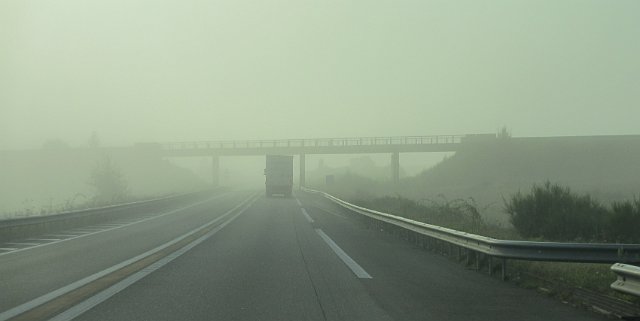 00496.JPG