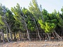 00429 Leucate - kust klippen