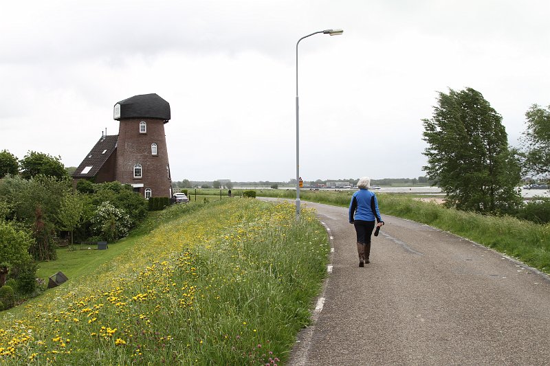14 2014 Herwijnen.JPG
