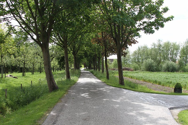 41 2014 Herwijnen.JPG