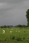 12 2014 Herwijnen