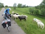 44 Zaltbommel