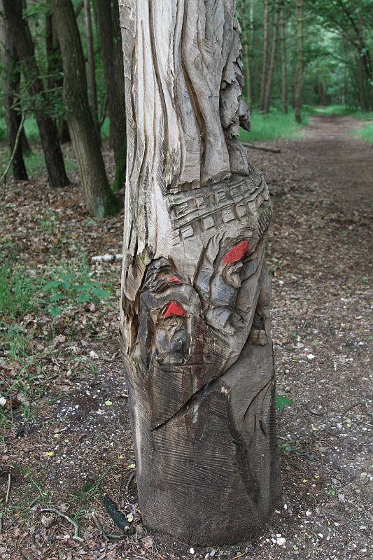077  2014 De Meinweg.JPG