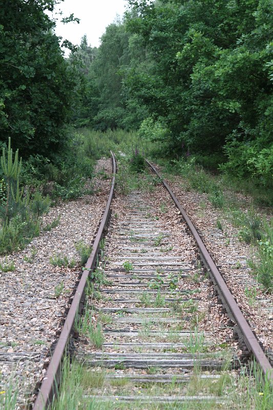 079  2014 De Meinweg.JPG
