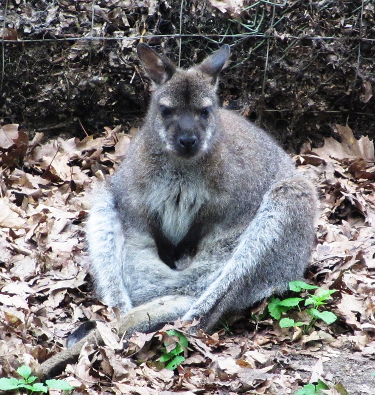 091 2014 Melick.JPG