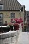 0137 Roermond