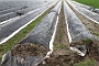 062  2014 De Meinweg