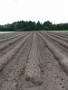 063  2014 De Meinweg