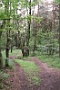 074  2014 De Meinweg