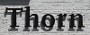 107  2014 Thorn