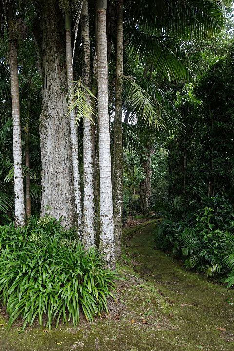 055 DSC00522 .jpg