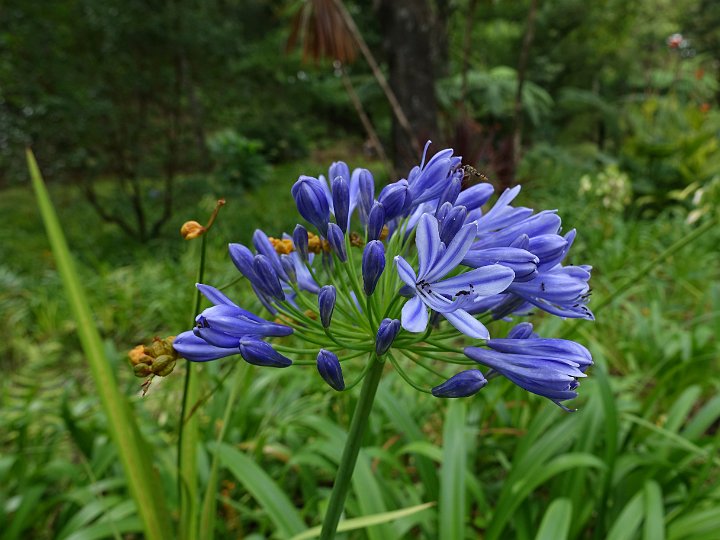 062 DSC00537 .jpg