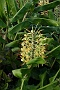 014 DSC00331 