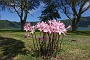 017 DSC00338 