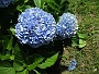 020 IMG_1395 