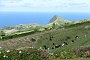021 DSC00352 