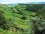 023 IMG_1401 