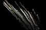 033 DSC00446 