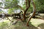 047 DSC00483 