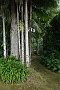 055 DSC00522 