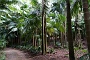 056 DSC00525 