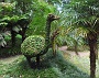 058 IMG_1436 