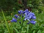 062 DSC00537 