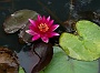 065 DSC00542 