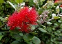 066 DSC00546 